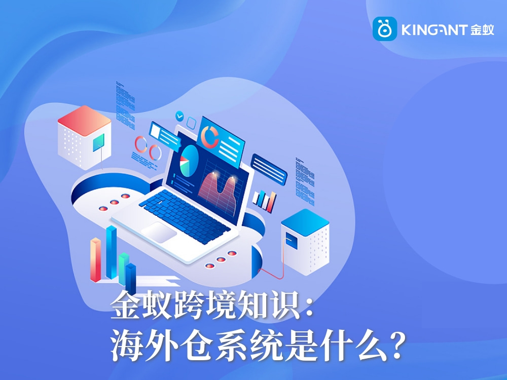 海外倉系統(tǒng)是什么？