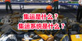 集運(yùn)是什么？ 集運(yùn)系統(tǒng)是什么？