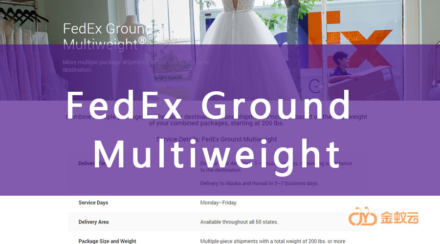 FedEx Multiweight 是什么？