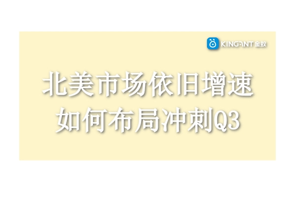 跨境電商：北美市場依舊增速，如何布局沖刺Q3