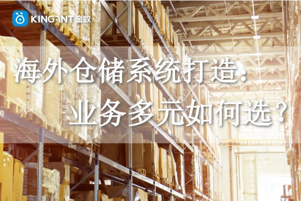 海外倉系統(tǒng)打造：業(yè)務(wù)多元如何選？